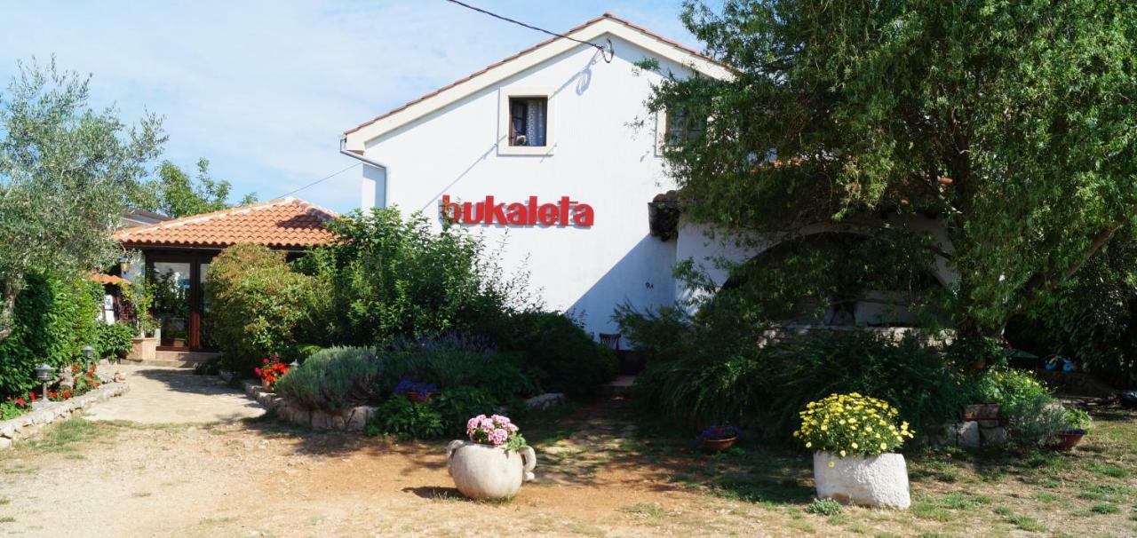 Apartman Bukaleta In